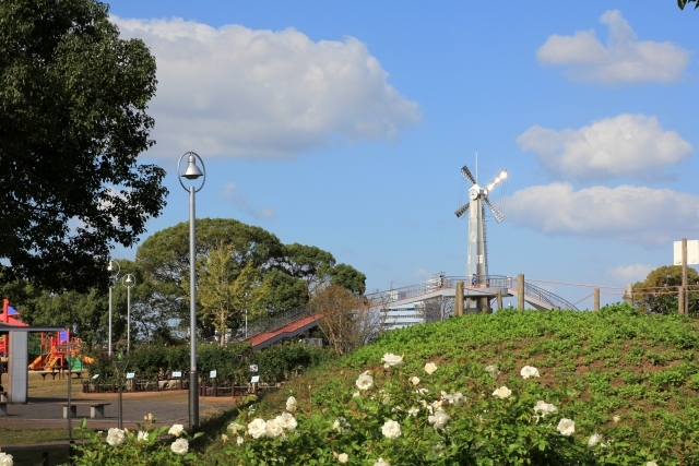福岡お勧め公園情報２