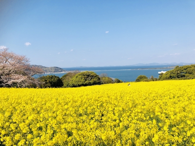 自然豊かな環境で子育てしたい
