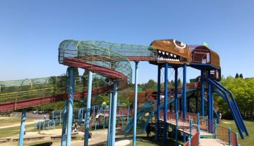 福岡お勧め公園情報